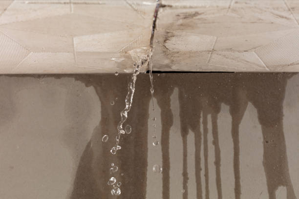 Professional Sewage Cleanup technician working in Stanley, NM